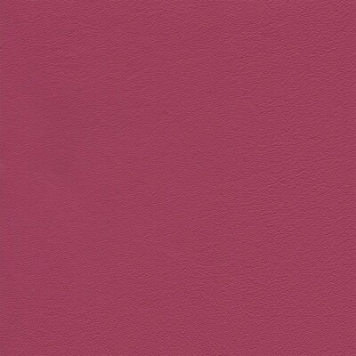 4953 - pink