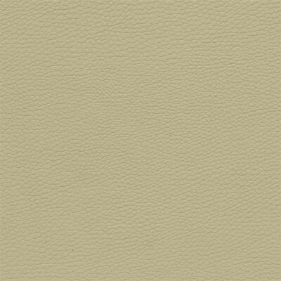 1881D - oyster