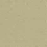 1881D - oyster