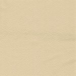 1150 - sand
