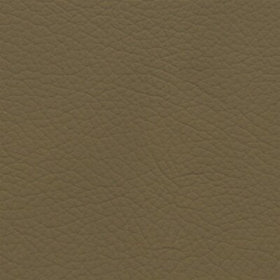 3412 - kaschmirbeige / bucksin