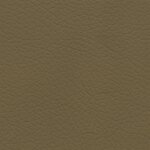 3412 - kaschmirbeige / bucksin