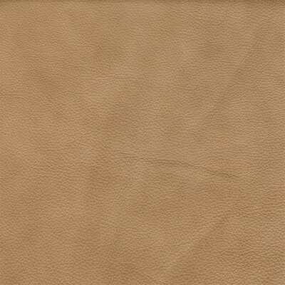 SIENA sea sand