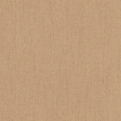 3906 - coco