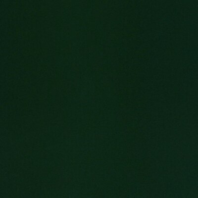 5515 - forest