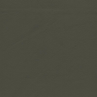 7080 - elefant