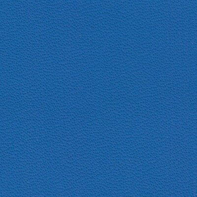 9259 - blue amon