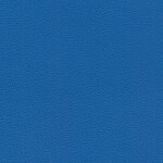9259 - blue amon