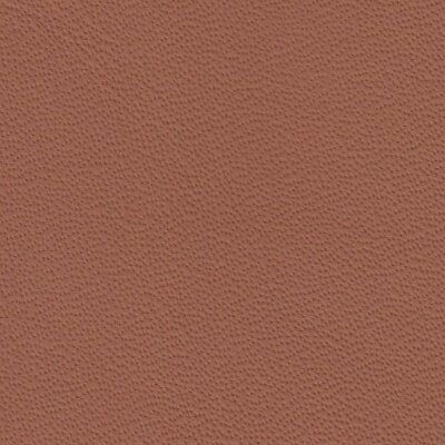 4609 - cuoio