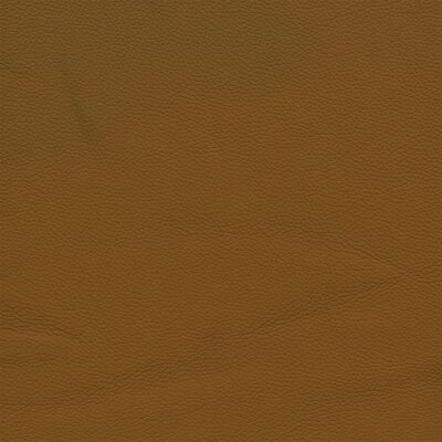 6070 - safran