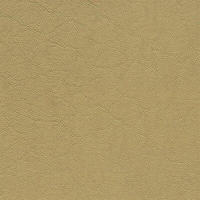 1170 - champagner