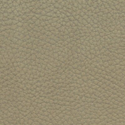 2816 - steppe