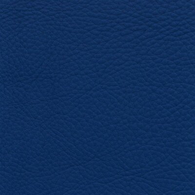 5679 - capriblau