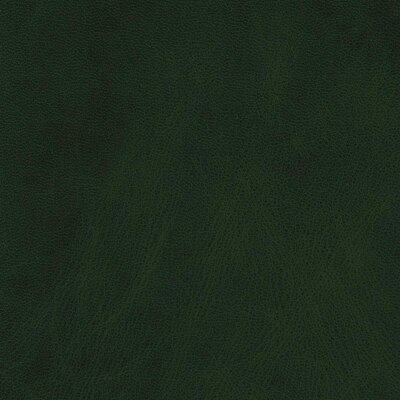 7437 - forest