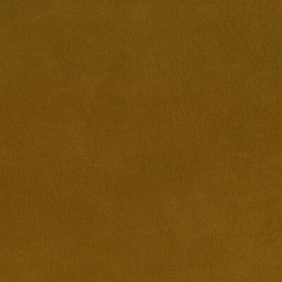 2828 - maple