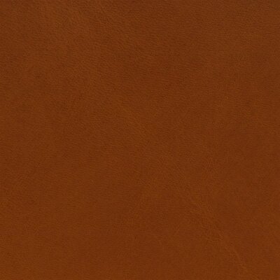 4800 - pumpkin
