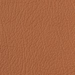 1068K - natur