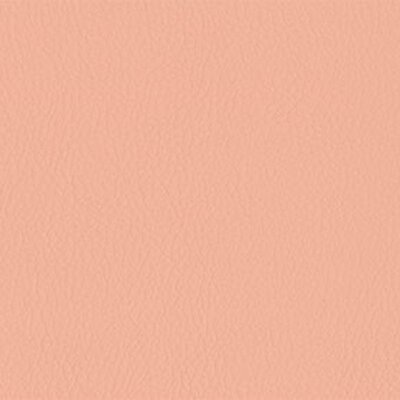 206 x 227 - rosa