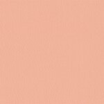 206 x 227 - rosa