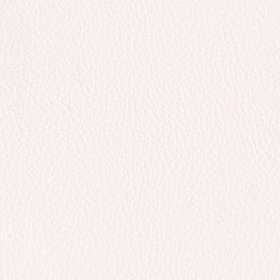 206 x 229 - platin