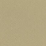 206 x 226 - taube