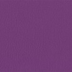206 x 238 - violett