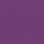 206 x 238 - violett