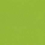 206 x 236 - limegreen