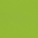 206 x 236 - limegreen