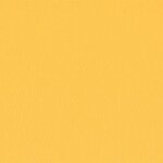 206 x 220 - aprikose
