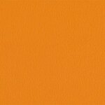 206 x 203 - mandarine