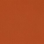 206 x 204 - kupfer