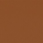 206 x 223 - nuss