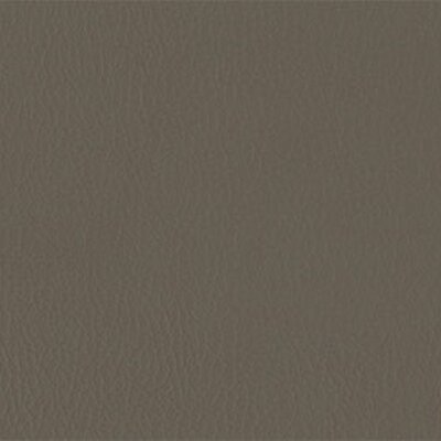 206 x 224 - elefant