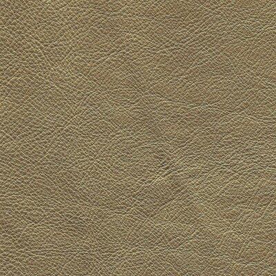 Gelb gold
