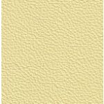 1170 - champagner