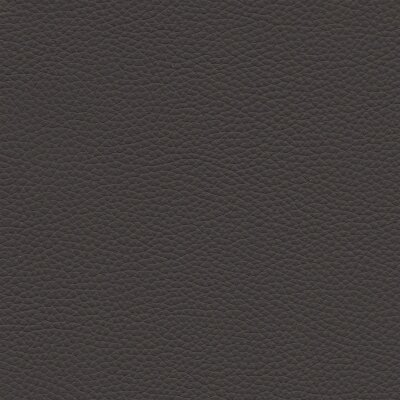 7080 - elefant