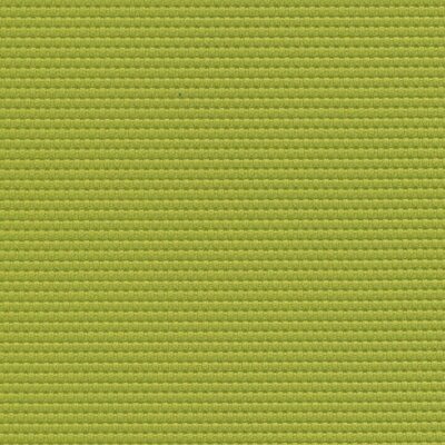 5021 - lime