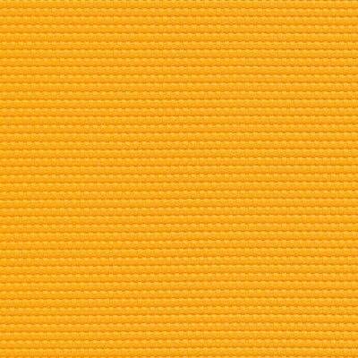 5023 - curry
