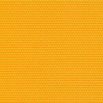5023 - curry