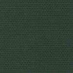 5081 - pine grove