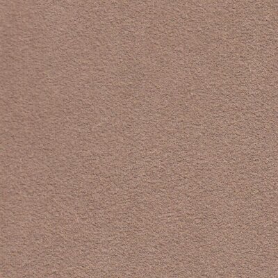 1400 - camel