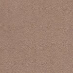 1400 - camel