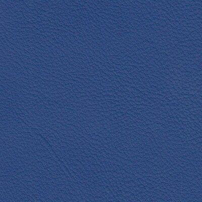 1272 - speedblau