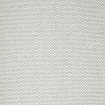 5035 silver