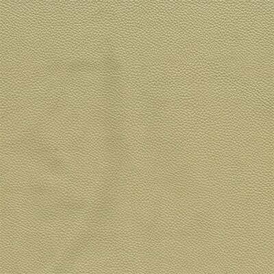 1110 - ivory