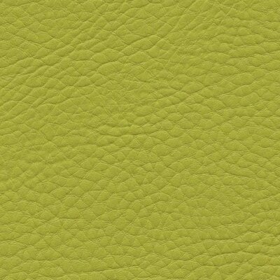 1017 - limone