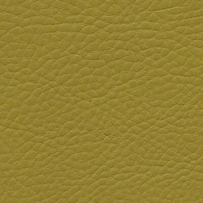 1125 - olive