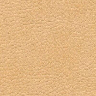 0635 - camel