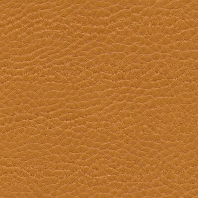 1124 - nature